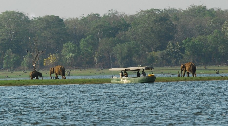 Taxi service from Mangalore Airport to Kabini (Nagarhole) Karnataka